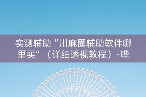 实测辅助“川麻圈辅助软件哪里买”（详细透视教程）-哔哩哔哩
