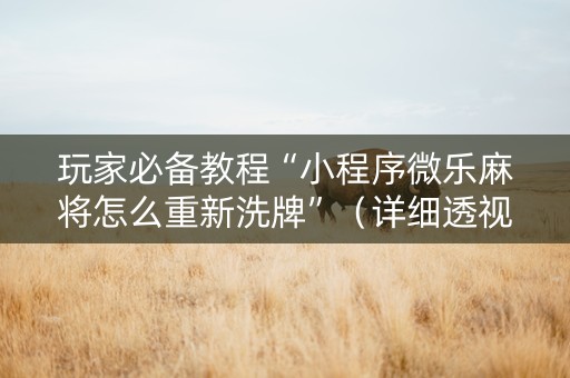玩家必备教程“小程序微乐麻将怎么重新洗牌”（详细透视教程）-哔哩哔哩