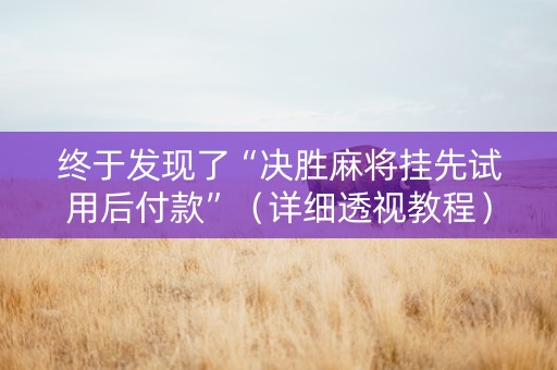 终于发现了“决胜麻将挂先试用后付款”（详细透视教程）-哔哩哔哩