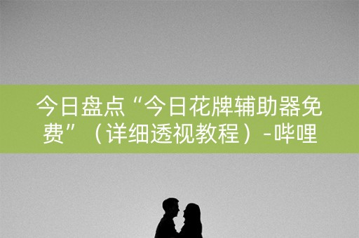 今日盘点“今日花牌辅助器免费”（详细透视教程）-哔哩哔哩