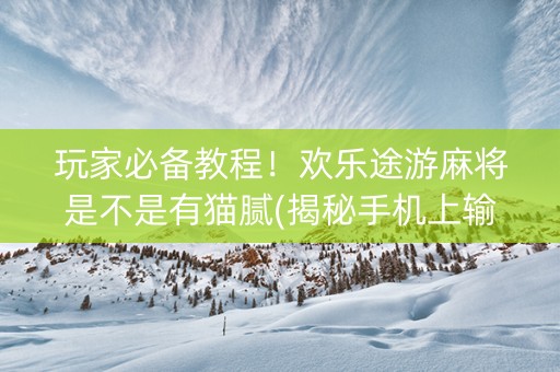 玩家必备教程！欢乐途游麻将是不是有猫腻(揭秘手机上输赢规律)