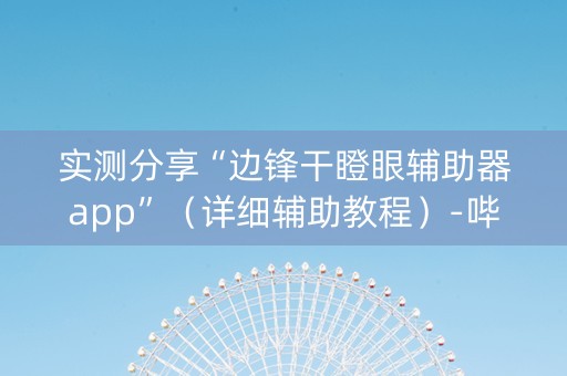 实测分享“边锋干瞪眼辅助器app”（详细辅助教程）-哔哩哔哩