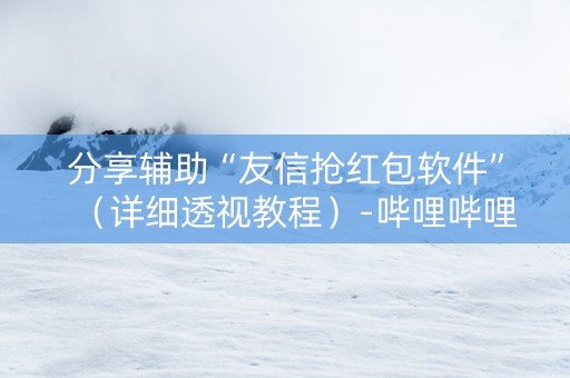 分享辅助“友信抢红包软件”（详细透视教程）-哔哩哔哩