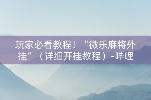 玩家必看教程！“微乐麻将外挂”（详细开挂教程）-哔哩哔哩