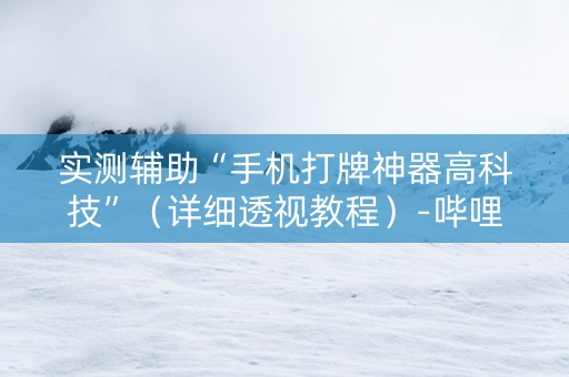 实测辅助“手机打牌神器高科技”（详细透视教程）-哔哩哔哩