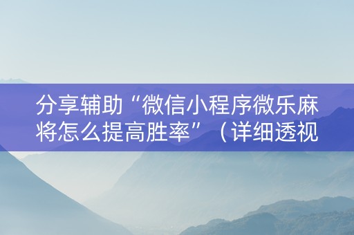 分享辅助“微信小程序微乐麻将怎么提高胜率”（详细透视教程）-哔哩哔哩