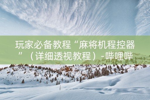 玩家必备教程“麻将机程控器”（详细透视教程）-哔哩哔哩
