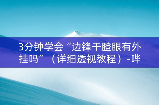 3分钟学会“边锋干瞪眼有外挂吗”（详细透视教程）-哔哩哔哩