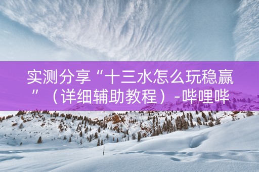 实测分享“十三水怎么玩稳赢”（详细辅助教程）-哔哩哔哩