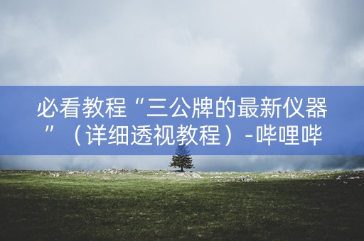 必看教程“三公牌的最新仪器”（详细透视教程）-哔哩哔哩