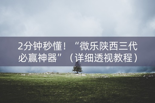 2分钟秒懂！“微乐陕西三代必赢神器”（详细透视教程）-哔哩哔哩