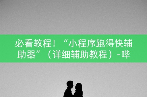 必看教程！“小程序跑得快辅助器”（详细辅助教程）-哔哩哔哩
