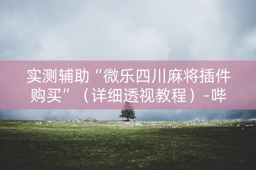 实测辅助“微乐四川麻将插件购买”（详细透视教程）-哔哩哔哩