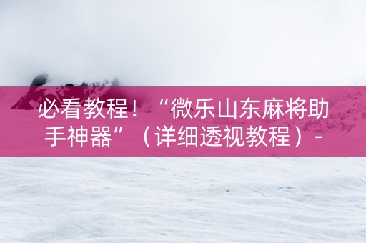 必看教程！“微乐山东麻将助手神器”（详细透视教程）-哔哩哔哩