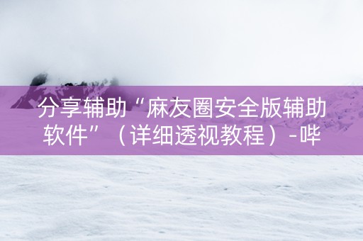 分享辅助“麻友圈安全版辅助软件”（详细透视教程）-哔哩哔哩