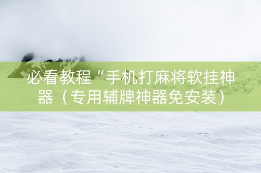 必看教程“手机打麻将软挂神器（专用辅牌神器免安装）