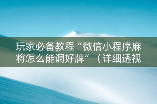 玩家必备教程“微信小程序麻将怎么能调好牌”（详细透视教程）-哔哩哔哩