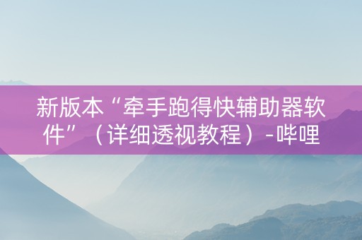 新版本“牵手跑得快辅助器软件”（详细透视教程）-哔哩哔哩
