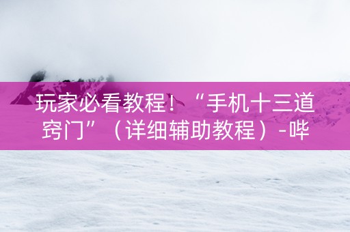 玩家必看教程！“手机十三道窍门”（详细辅助教程）-哔哩哔哩
