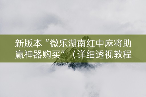 新版本“微乐湖南红中麻将助赢神器购买”（详细透视教程）-哔哩哔哩