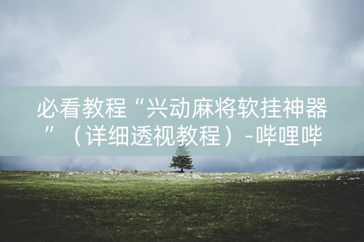必看教程“兴动麻将软挂神器”（详细透视教程）-哔哩哔哩