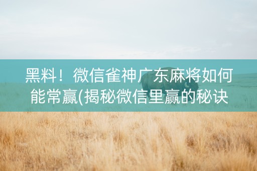 黑料！微信雀神广东麻将如何能常赢(揭秘微信里赢的秘诀)
