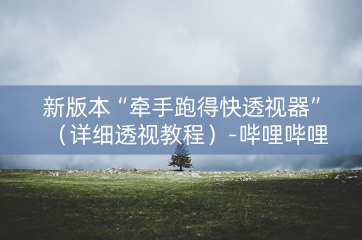 新版本“牵手跑得快透视器”（详细透视教程）-哔哩哔哩