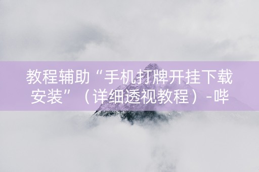 教程辅助“手机打牌开挂下载安装”（详细透视教程）-哔哩哔哩