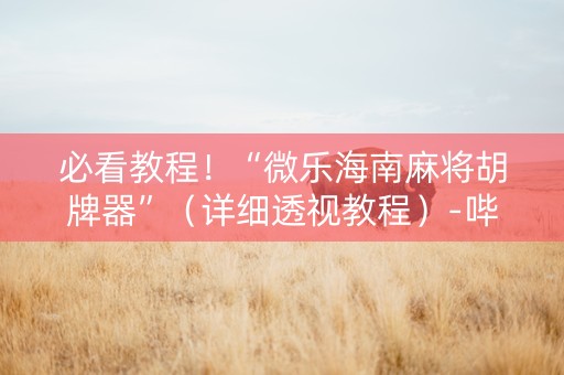 必看教程！“微乐海南麻将胡牌器”（详细透视教程）-哔哩哔哩