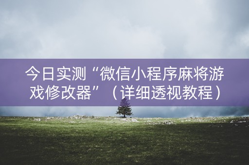今日实测“微信小程序麻将游戏修改器”（详细透视教程）-哔哩哔哩