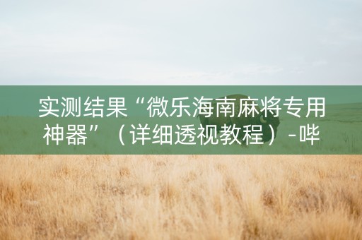 实测结果“微乐海南麻将专用神器”（详细透视教程）-哔哩哔哩