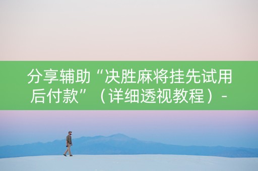 分享辅助“决胜麻将挂先试用后付款”（详细透视教程）-哔哩哔哩