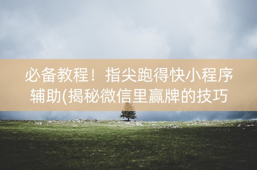 必备教程！指尖跑得快小程序辅助(揭秘微信里赢牌的技巧)