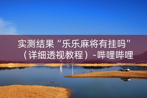 实测结果“乐乐麻将有挂吗”（详细透视教程）-哔哩哔哩