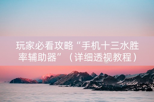 玩家必看攻略“手机十三水胜率辅助器”（详细透视教程）-哔哩哔哩