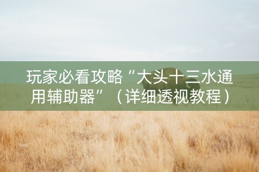玩家必看攻略“大头十三水通用辅助器”（详细透视教程）-哔哩哔哩