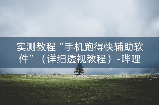 实测教程“手机跑得快辅助软件”（详细透视教程）-哔哩哔哩