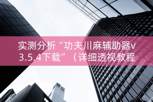 实测分析“功夫川麻辅助器v3.5.4下载”（详细透视教程）-哔哩哔哩