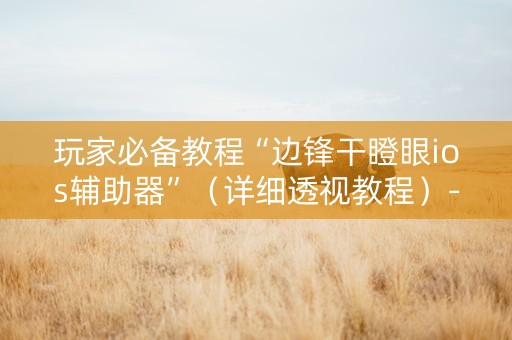 玩家必备教程“边锋干瞪眼ios辅助器”（详细透视教程）-哔哩哔哩