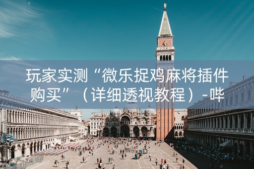 玩家实测“微乐捉鸡麻将插件购买”（详细透视教程）-哔哩哔哩