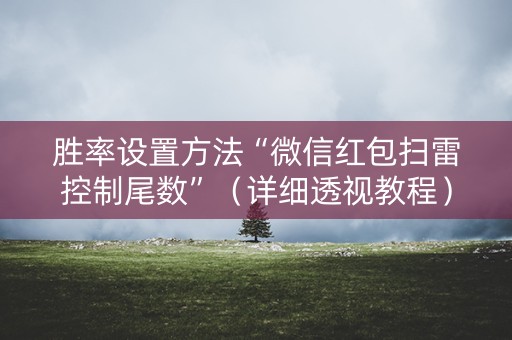 胜率设置方法“微信红包扫雷控制尾数”（详细透视教程）-哔哩哔哩