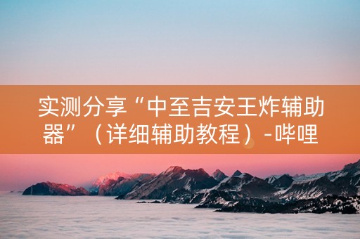 实测分享“中至吉安王炸辅助器”（详细辅助教程）-哔哩哔哩