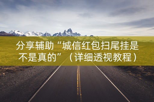 分享辅助“城信红包扫尾挂是不是真的”（详细透视教程）-哔哩哔哩