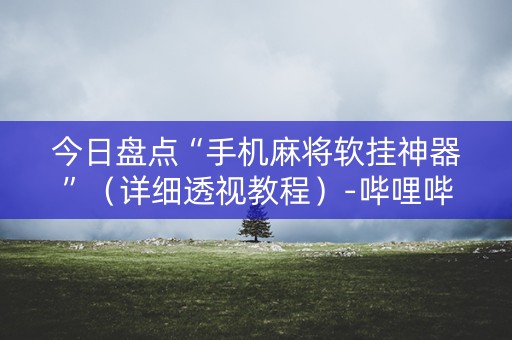 今日盘点“手机麻将软挂神器”（详细透视教程）-哔哩哔哩
