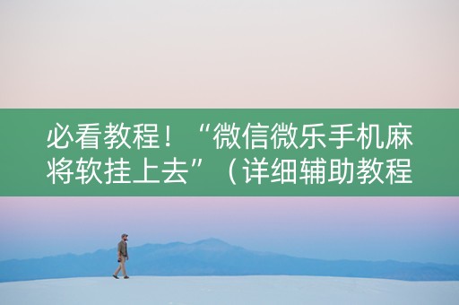 必看教程！“微信微乐手机麻将软挂上去”（详细辅助教程）-哔哩哔哩