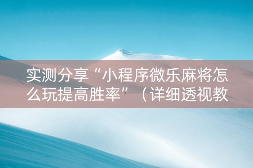 实测分享“小程序微乐麻将怎么玩提高胜率”（详细透视教程）-哔哩哔哩