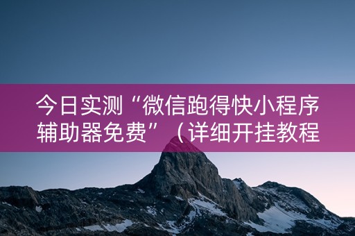 今日实测“微信跑得快小程序辅助器免费”（详细开挂教程）-哔哩哔哩
