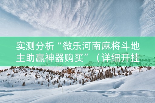 实测分析“微乐河南麻将斗地主助赢神器购买”（详细开挂教程）-哔哩哔哩