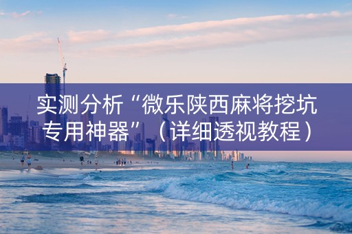 实测分析“微乐陕西麻将挖坑专用神器”（详细透视教程）-哔哩哔哩