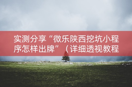 实测分享“微乐陕西挖坑小程序怎样出牌”（详细透视教程）-哔哩哔哩